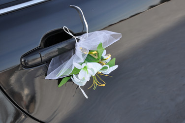 Similar image 2150880