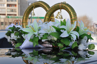 Similar image 2150895