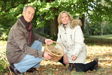 Similar image 2158628