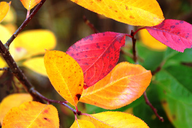 Similar image 2159437