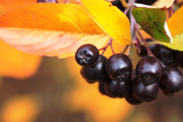 Similar image 2159442