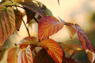 Similar image 2159443