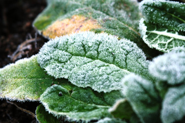 Similar image 2159444