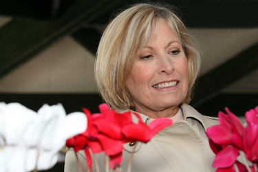 Similar image 2159512