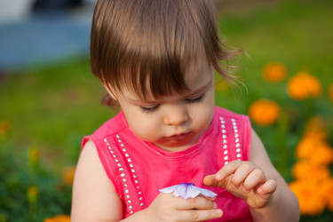 Similar image 2159565