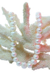 Similar image 2159696