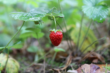 Similar image 2160018