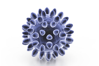 Similar image 2160067