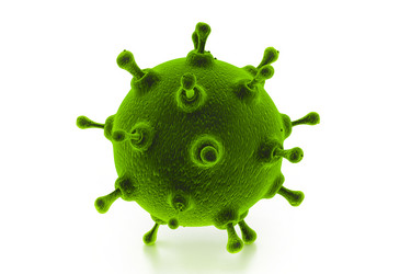 Similar image 2160068