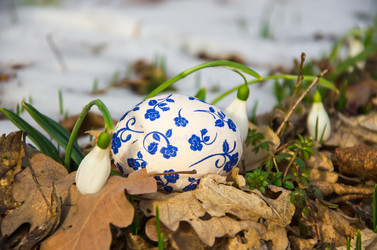 Similar image 2160082