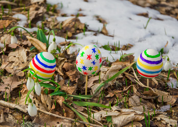 Similar image 2160091