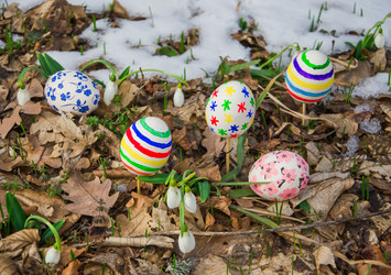 Similar image 2160096