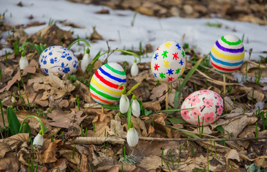 Similar image 2160099