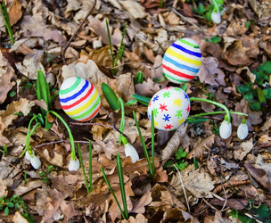 Similar image 2160101