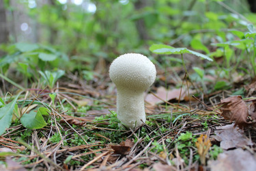 Similar image 2160108