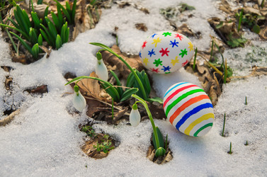 Similar image 2160112