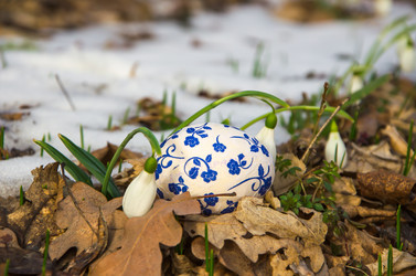 Similar image 2160113