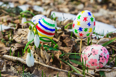 Similar image 2160114