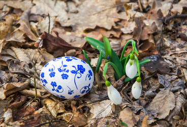 Similar image 2160115