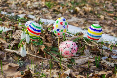 Similar image 2160117