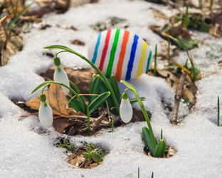 Similar image 2160118