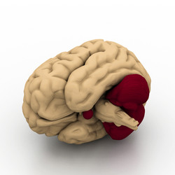 Similar image 2160120