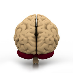 Similar image 2160122