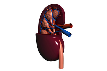 Similar image 2160124