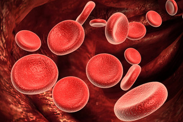 Similar image 2160126