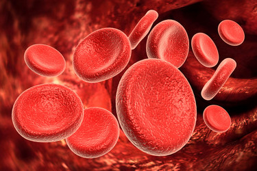 Similar image 2160129