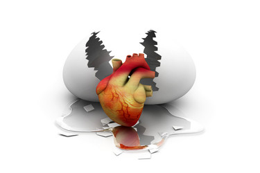 Similar image 2160164