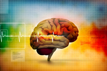 Similar image 2160170