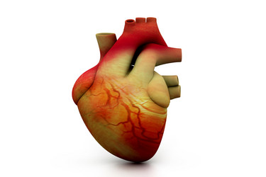 Similar image 2160171