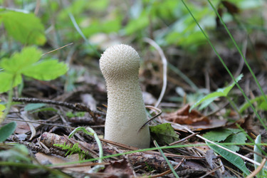 Similar image 2160290