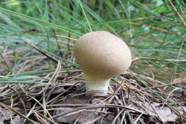 Similar image 2160291