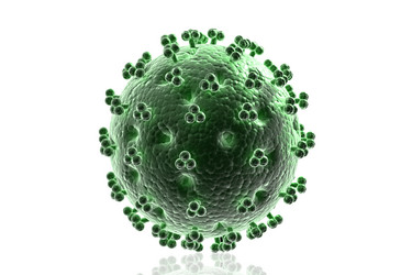 Similar image 2160348