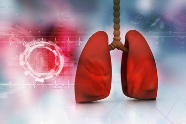 Similar image 2160413