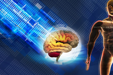 Similar image 2160441