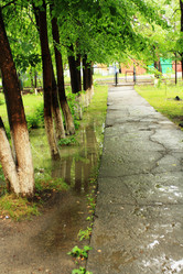 Similar image 2160479