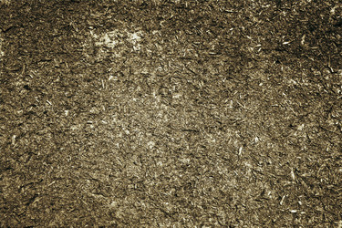 Similar image 2160562