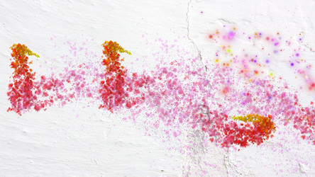 Similar image 2160568