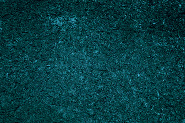 Similar image 2160575