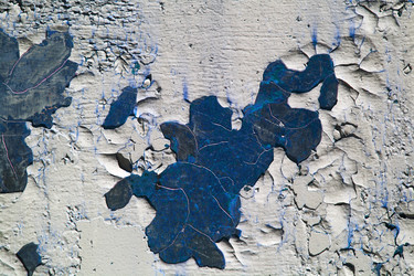 Similar image 2160579