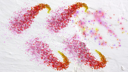 Similar image 2160581