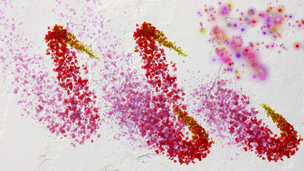 Similar image 2160595