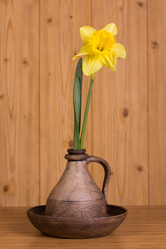 Similar image 2160623