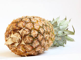 Similar image 2160632