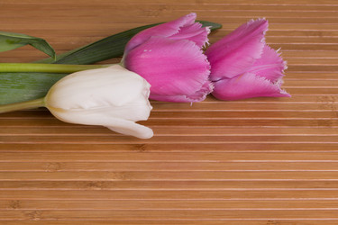 Similar image 2160649