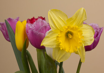 Similar image 2160658