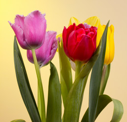 Similar image 2160659